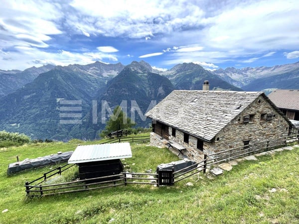 Pace, sole e tranquillità 6