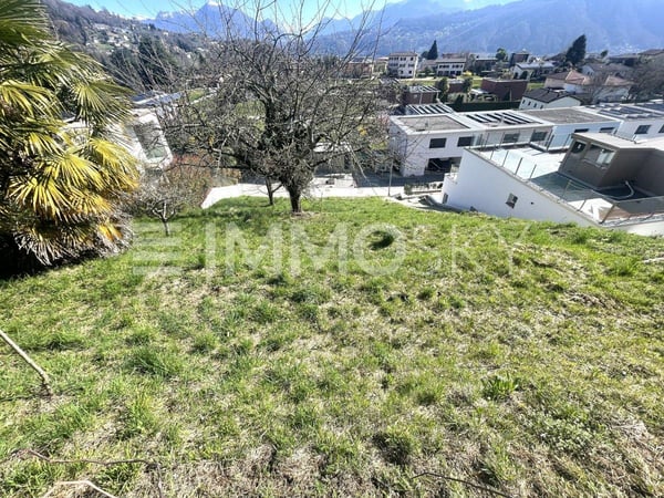 In zona soleggiata e panoramica 5