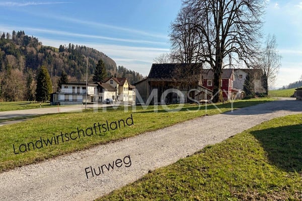 Ein Zuhause mit Herz, ein Projekt mit Zukunft 6