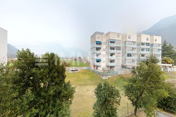 Immerso nel verde 6