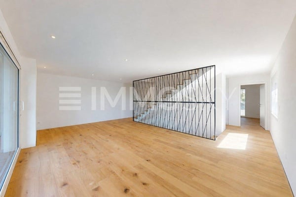 Villa C  Villa dangle neuve et Minergie 3