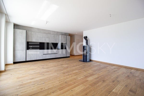 1.5Zi mit Terrasse und Aussicht (Nr. 11a) 1