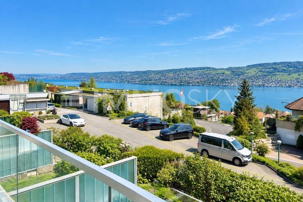 Ihr neues Zuhause mit Panoramasicht von Zürich bis in die Alpen 5