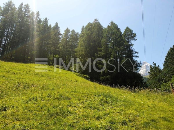 Bauland neben der Skipiste 2