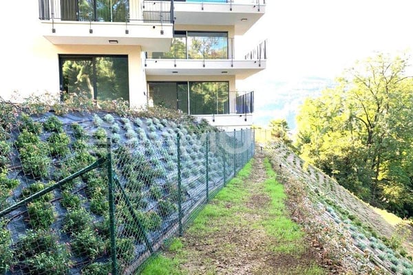 Confort, posizione e reddito assicurato 4