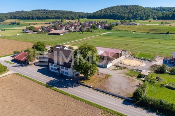 Mit viel Liebe renoviertes und historisches Wohn- und Geschäftshaus 9