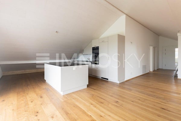 Neubau-Dachwohnung mit besonderem Wohncharakter