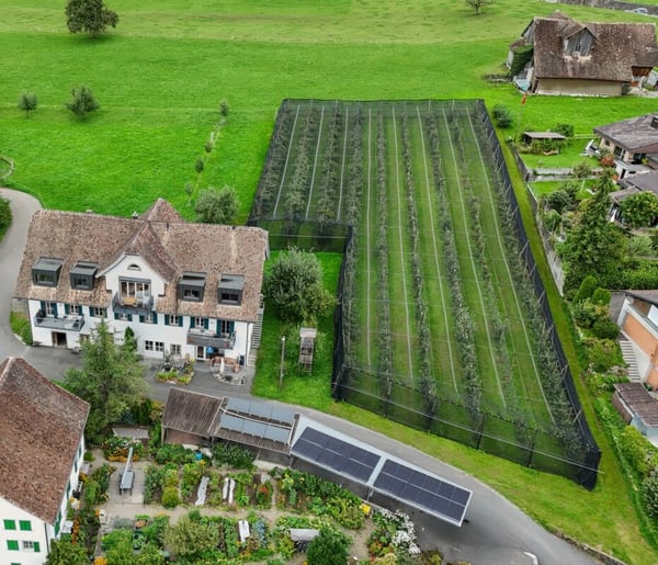 Stilvolle Dachmaisonette mit Sicht auf Mythen, See und ins saftige Grün 16