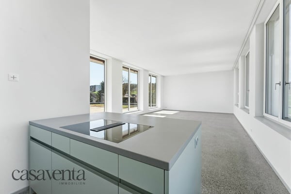 Exklusive Penthouse-Wohnung mit Panorama-Terrasse & attraktivem UBS-Finanzierungsangebot 6