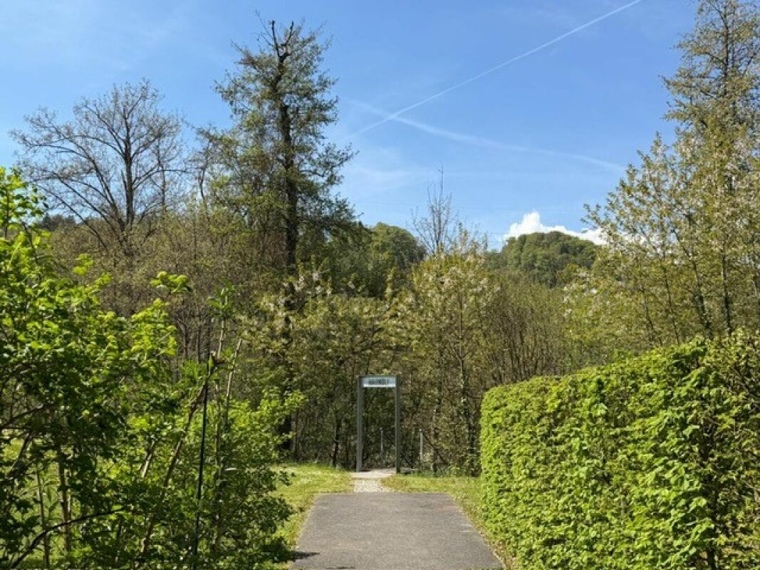 Die attraktive Wohnung der Überbauung - Sonne, Ruhe und maximale Privatsphäre