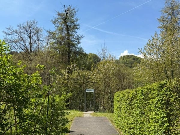 Wohnen mit Weitblick - traumhafte Aussicht ins Grüne 12