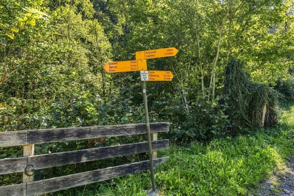 Traditionsreicher Eigenthalerhof - Ausflugsrestaurant am Fusse des Pilatus zu verpachten 43