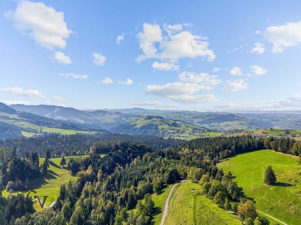 Traditionsreicher Eigenthalerhof - Ausflugsrestaurant am Fusse des Pilatus zu verpachten 38