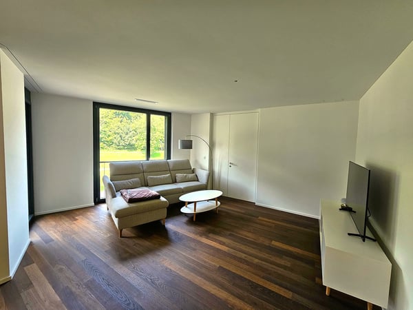 Moderne 1.5-Zimmer Wohnung an der schönen Sihl im Kreis 2 7