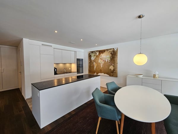 Moderne 1.5-Zimmer Wohnung an der schönen Sihl im Kreis 2 4