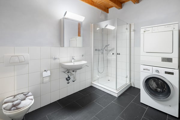 TOP Wertanlage: Maisonette-Loftwohnung mit See- und Bergblick 9