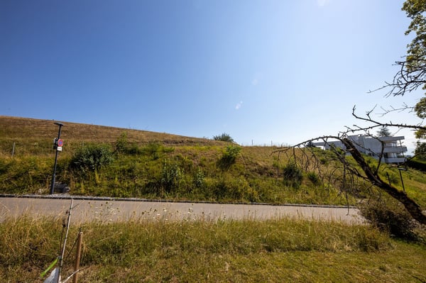 Unverbaubare Panoramasicht: Sonnige Baulandparzelle in Hombrechtikon 8