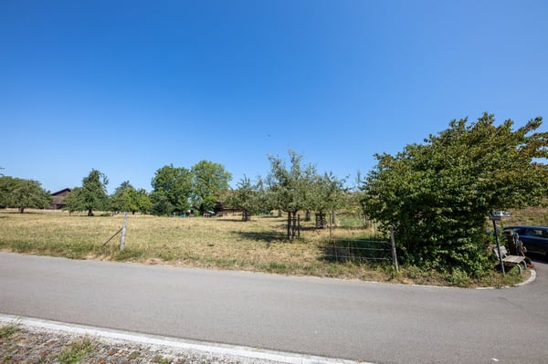 Unverbaubare Panoramasicht: Sonnige Baulandparzelle in Hombrechtikon 7