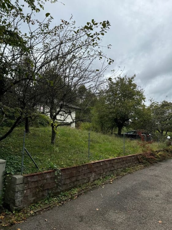Grundstück mit 1'442m2 mit bestehendem EFH aus dem Jahr 1980 4