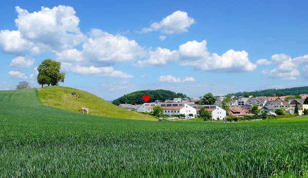 Familienidylle direkt an der Grünzone! 24