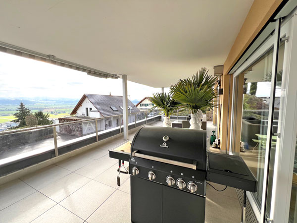 Moderne 4.5-Zimmer-Terrassenwohnung mit Panoramablick in Wauwil 5