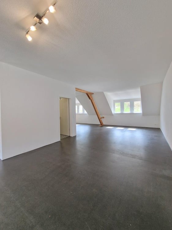 Moderne, grossflächige 230 m2 Loftwohnung mit Balkon! 3