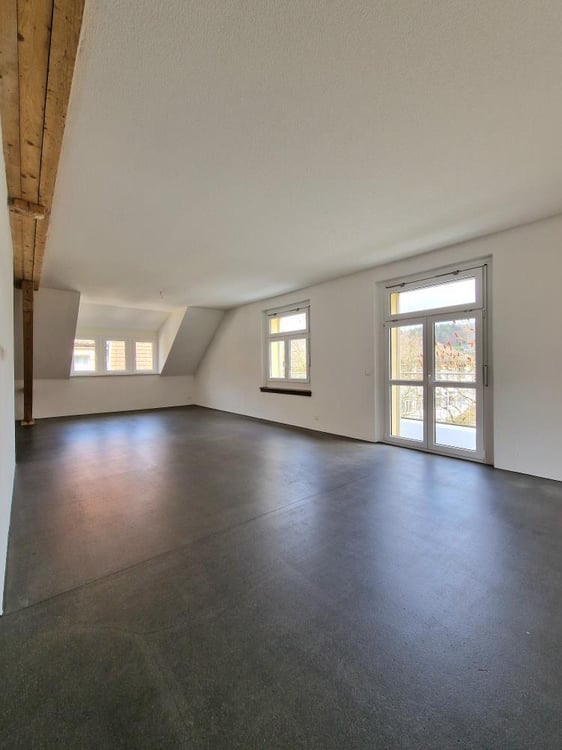 Moderne, grossflächige 230 m2 Loftwohnung mit Balkon! 4