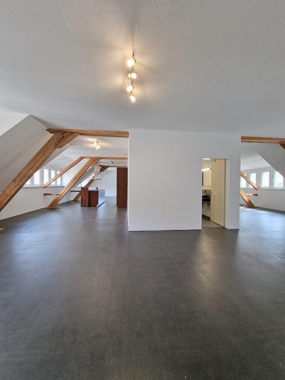 Moderne, grossflächige 230 m2 Loftwohnung mit Balkon! 2