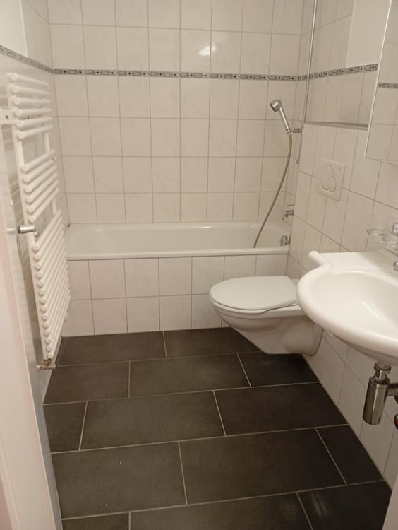 Neu renovierte 1-Zimmerwohnung in Bettlach 7