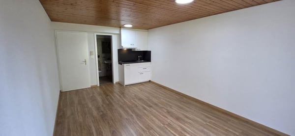 Neu renovierte Wohnung zu Vermieten! 4