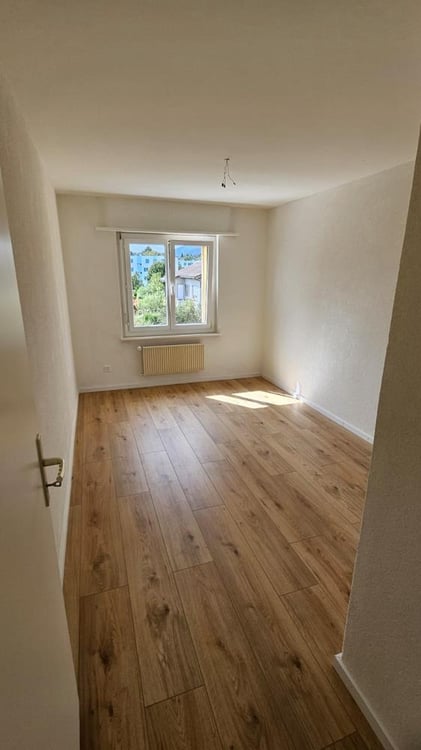 Neu renoviert mit grossem Balkon und Aussicht 8