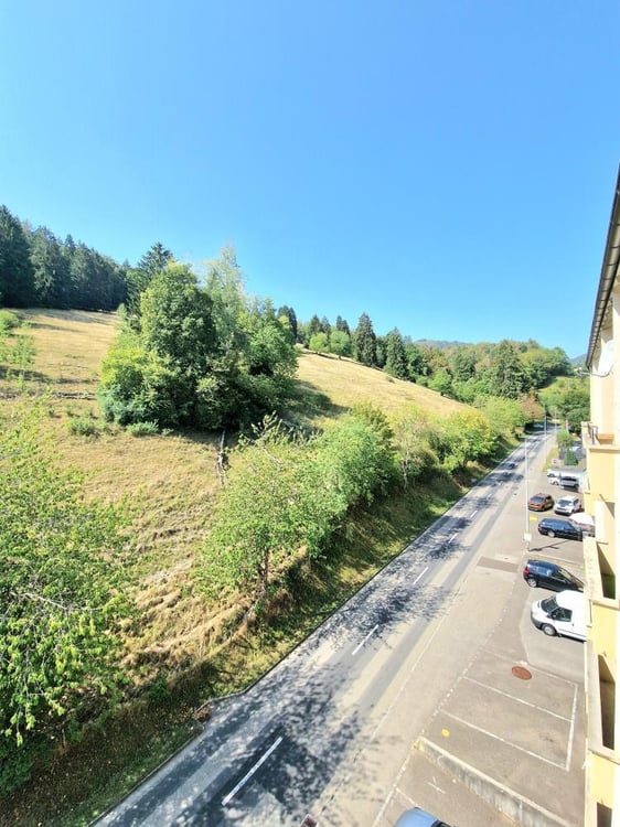 Appart lumineux avec grand balcon 6
