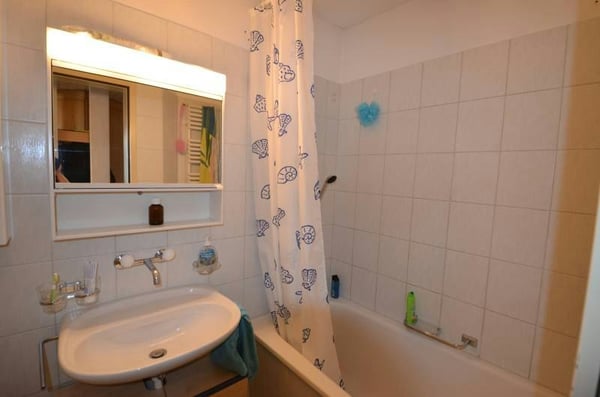 Grosse Dachwohnung mit Charme 2