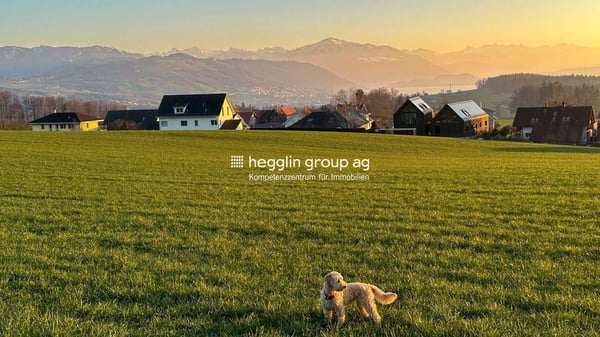 Modernes Design trifft Nachhaltigkeit 13