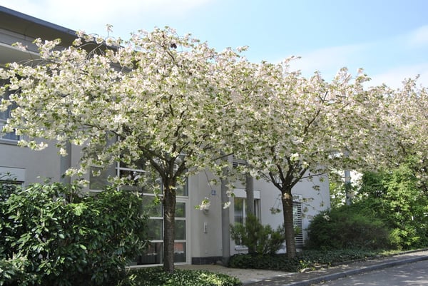 Charmante 2.5-Zimmer-Wohnung mit Sitzplatz in Zürich Hottingen 8
