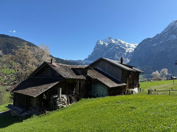 RESERVIERT! BAUERNHAUS mit atemberaubendem Bergpanorama in Grindelwald 5
