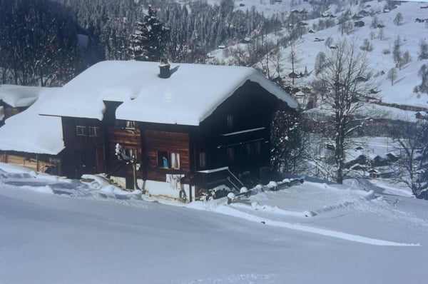 RESERVIERT! BAUERNHAUS mit atemberaubendem Bergpanorama in Grindelwald 3