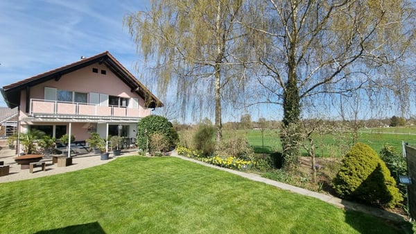 Mein Haus, Mein Boot, Mein Auto! 2