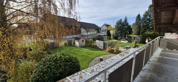 Mein Haus, Mein Boot, Mein Auto! 1