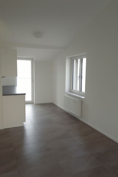 2.5 Zi-Wohnung mit Galerie und Dachterrasse (vorbereitet) 4