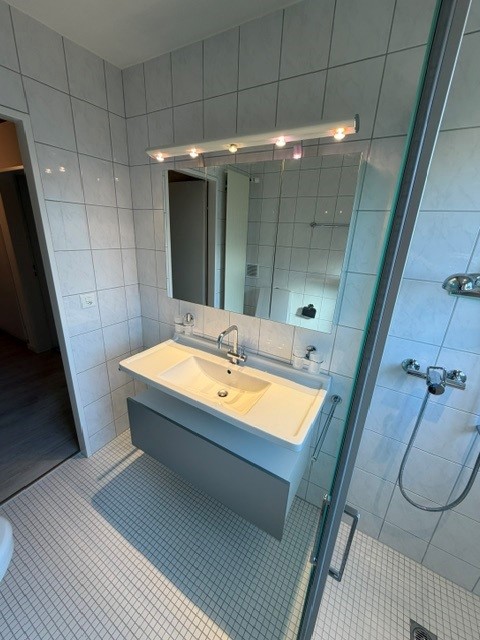 Idyllische 4.5-Zimmer-Wohnung mit Balkon und Garagenbox in Oberhasli 17