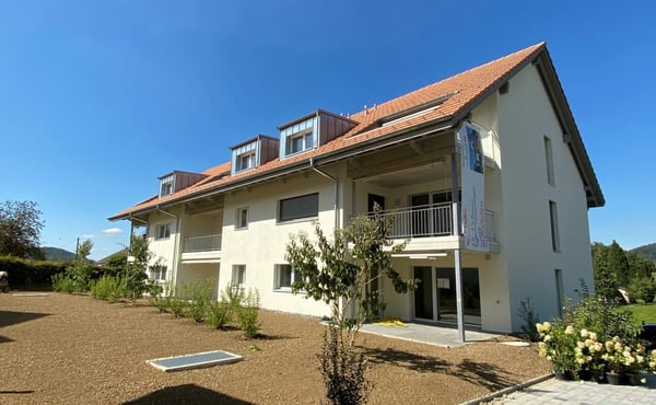 1.5 Zimmer Wohnung 1