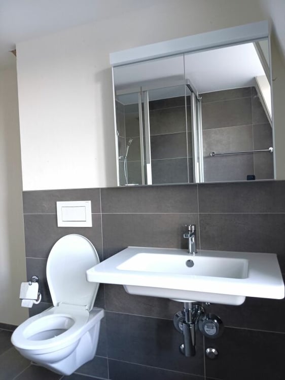 Schmucke 1.5 Zimmer Wohnung 9