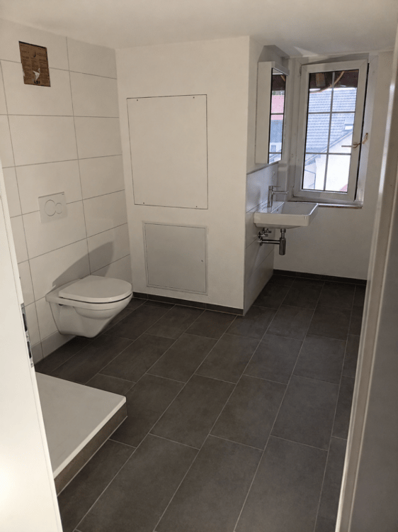 Wunderschöne renovierte 3.5 Zimmer Wohnung 5