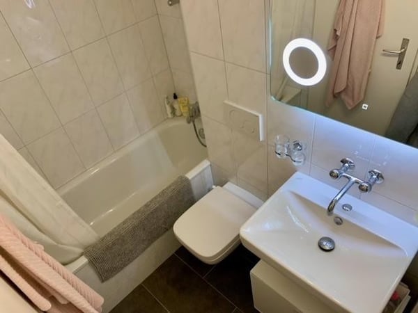 Au centre de Malley ! Rénové avec balcon et splendid vue sur le lac! 3