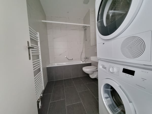 Renovierte Wohnung mit Gartensitzplatz 3