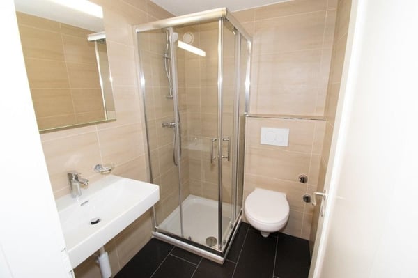 2 ZWG (205 saniert) an ruhiger Lage im Kreis 3 7