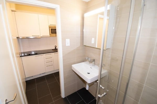 2 ZWG (205 saniert) an ruhiger Lage im Kreis 3 6