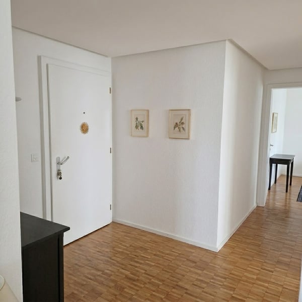 Lichtdurchflutete 2.5-Zimmer-Wohnung: Einzugsbereit & frisch gestrichen 3