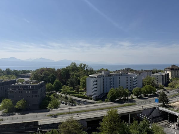 Prés du Chuv studio spazieuz avec cuisine top moderne et renové!!! 2